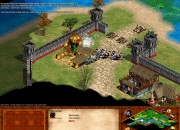 Age of Empires II screenshot