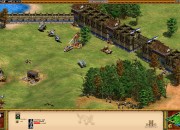 Age of Empires II screenshot