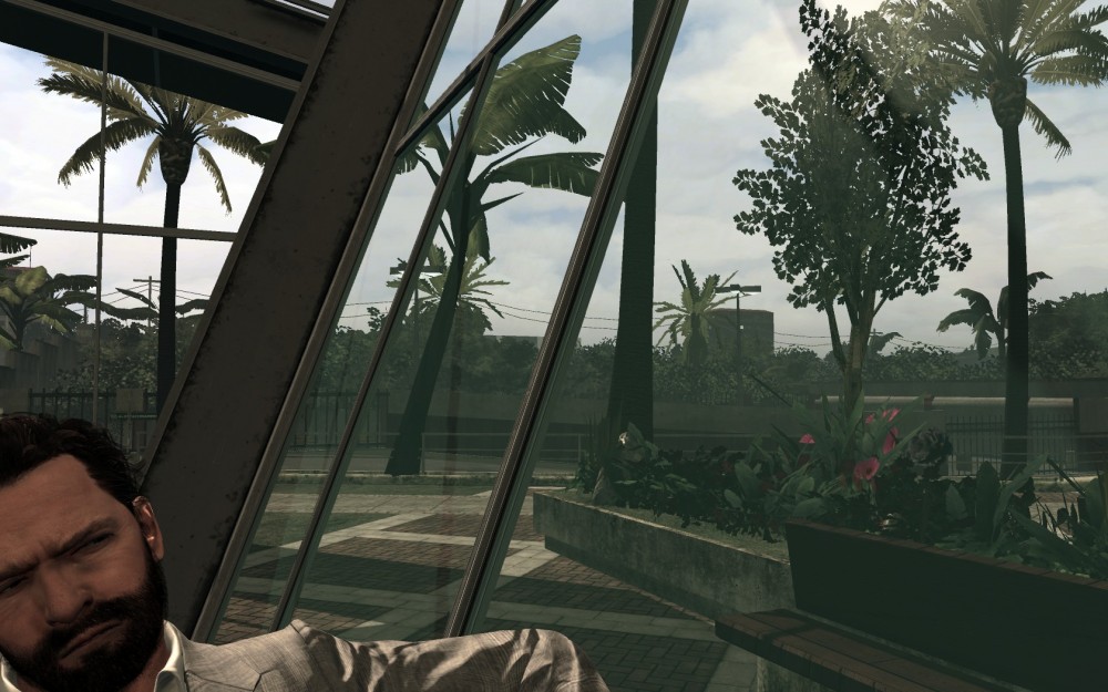 Max Payne 3