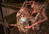 Dead Space