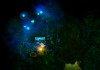 Trine 2