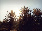 WRC 2: FIA World Rally Championship