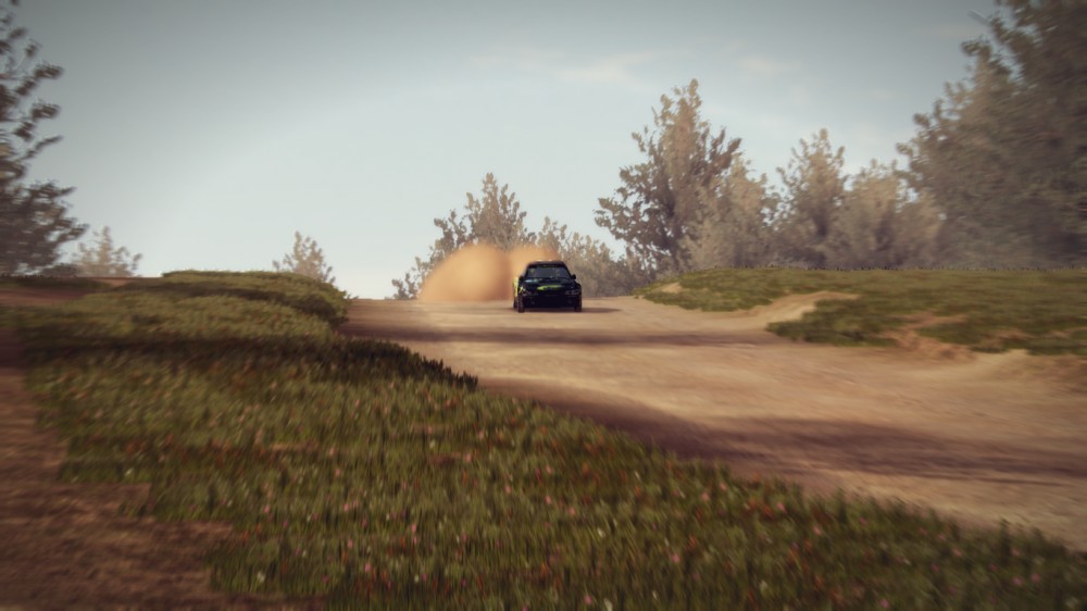 WRC 2: FIA World Rally Championship