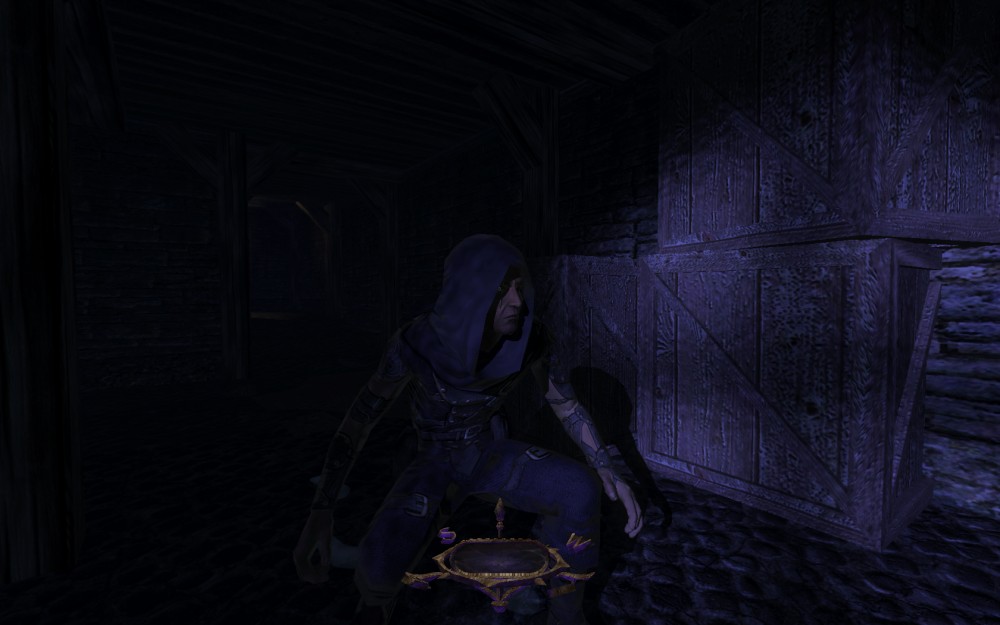 Thief: Deadly Shadows