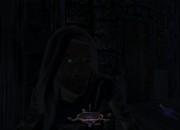 Thief screenshot