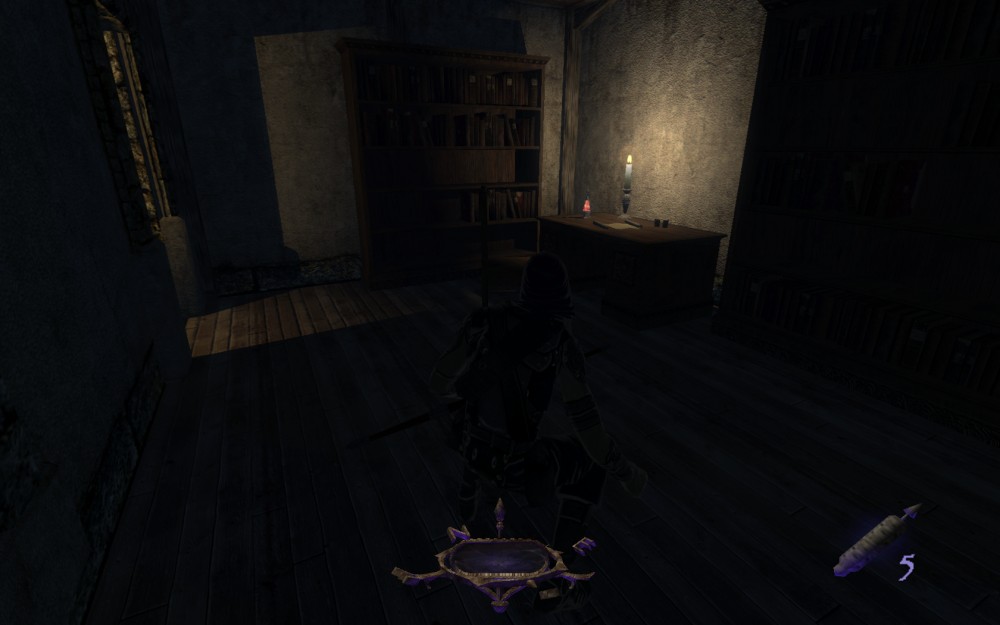 Thief: Deadly Shadows