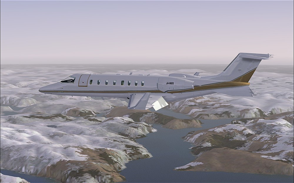 Microsoft Flight Simulator X