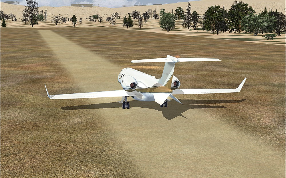 Microsoft Flight Simulator X