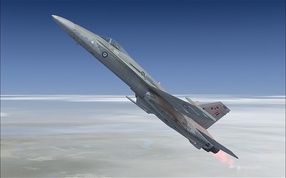 Microsoft Flight Simulator X