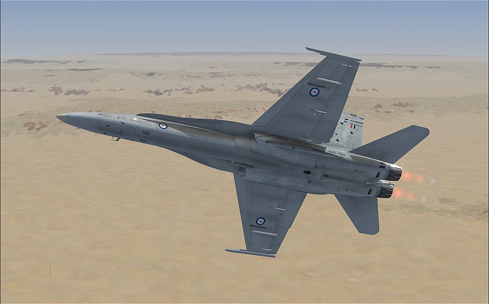 Microsoft Flight Simulator X