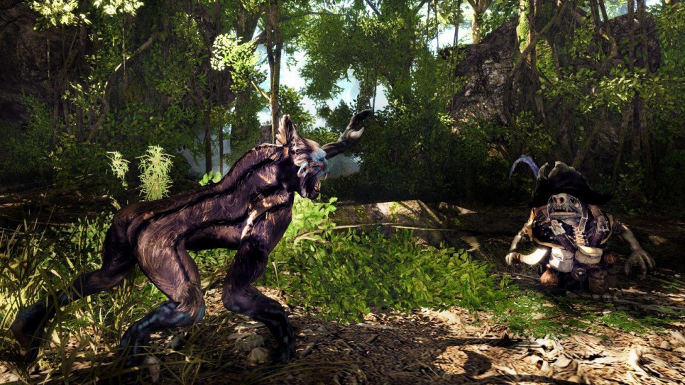 Risen 2: Dark Waters