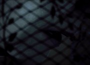 Alan Wake screenshot