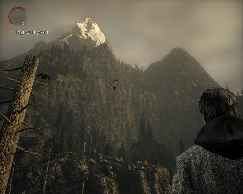 Alan Wake