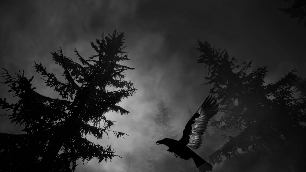 Alan Wake