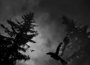 Alan Wake screenshot