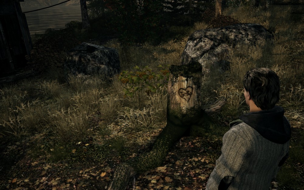 Alan Wake