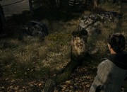 Alan Wake