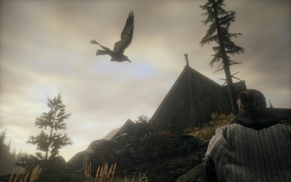 Alan Wake