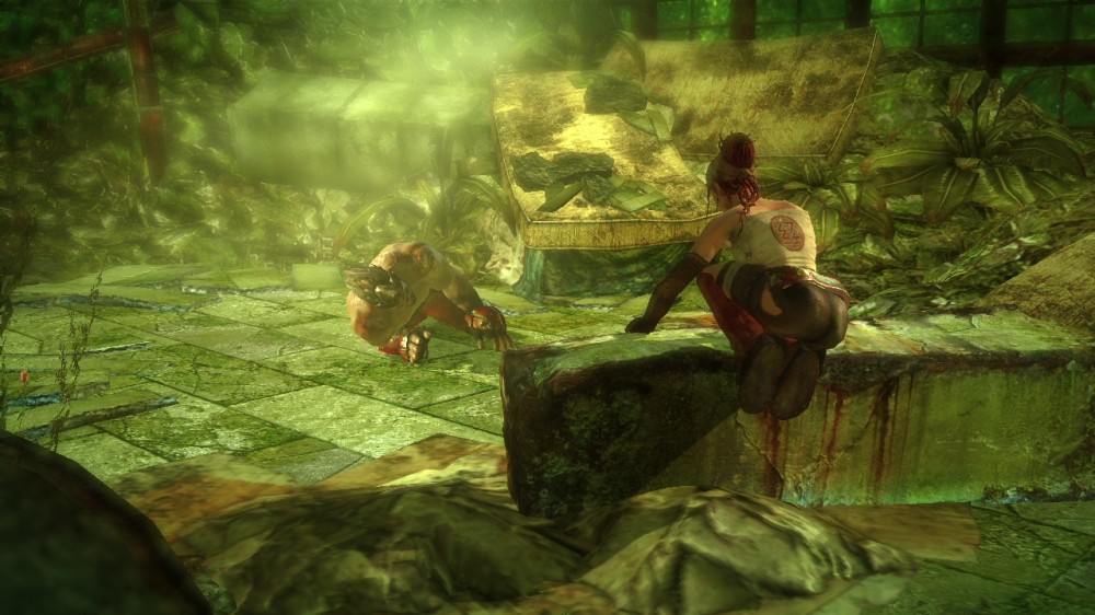 Enslaved: Odyssey to the West