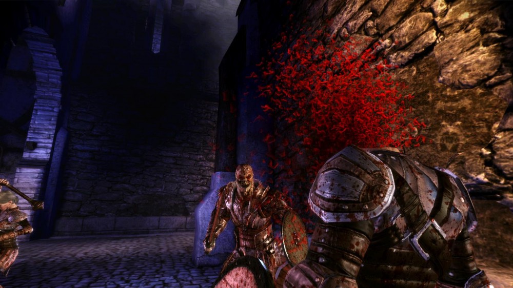 Dragon Age: Origins