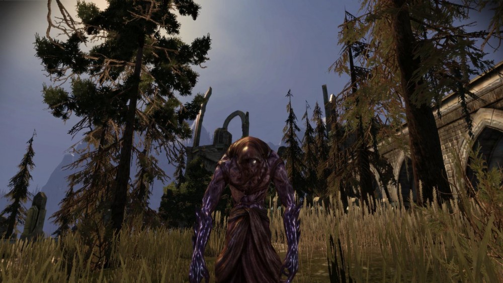 Dragon Age: Origins