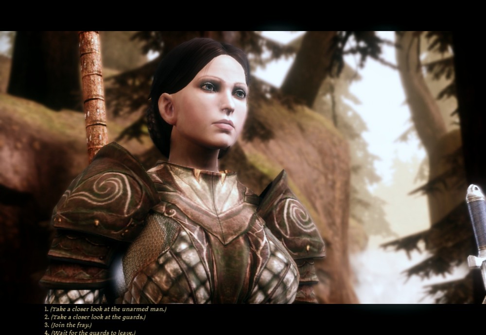 Dragon Age: Origins