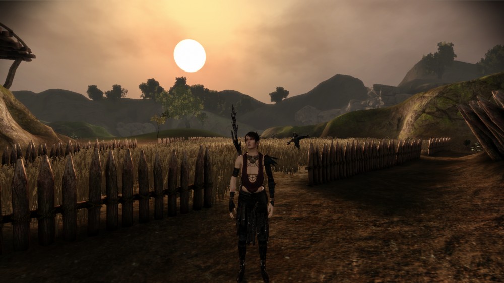 Dragon Age: Origins