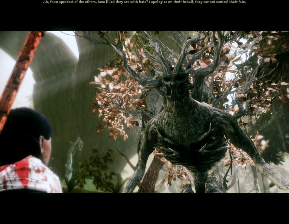 Dragon Age: Origins