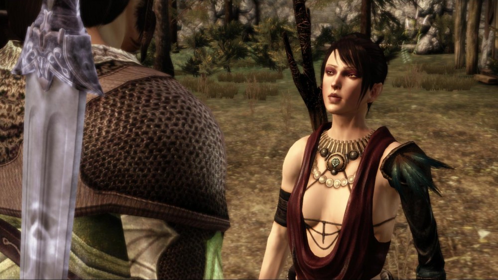 Dragon Age: Origins