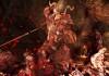 Dragon Age: Origins