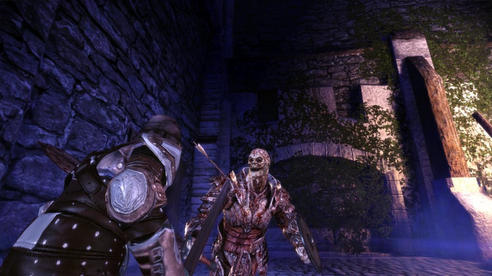 Dragon Age: Origins