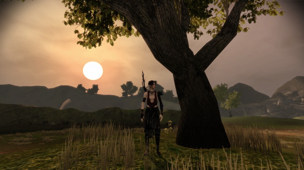 Dragon Age: Origins