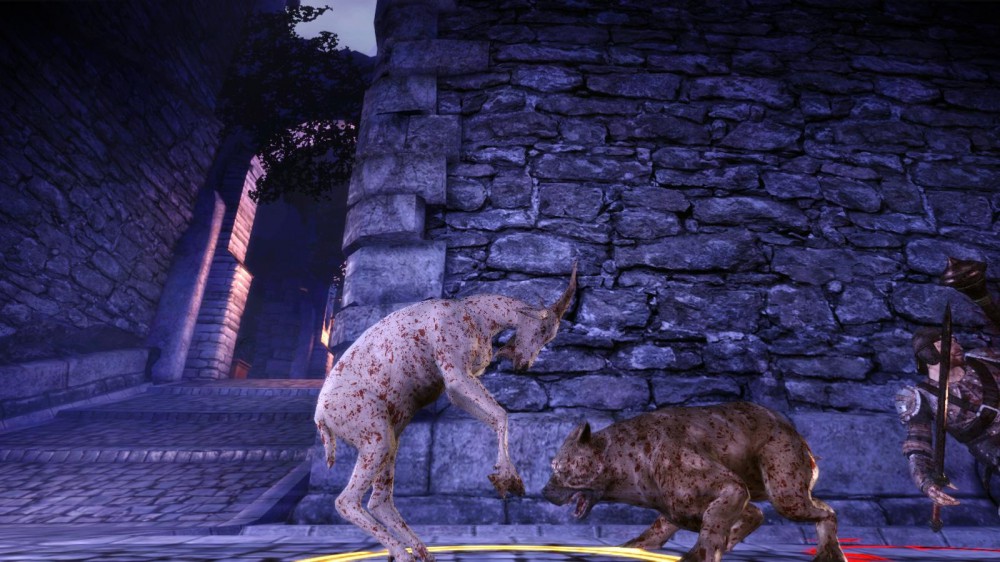 Dragon Age: Origins