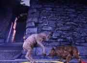 Dragon Age screenshot