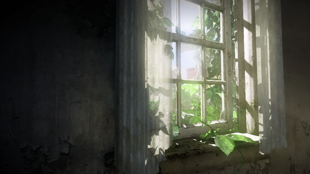 The Last of Us