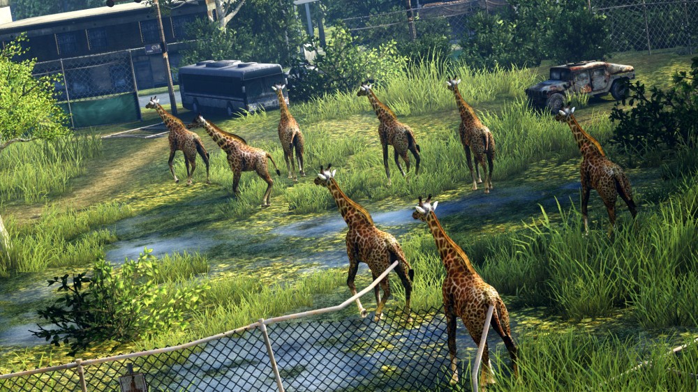 The Last of Us