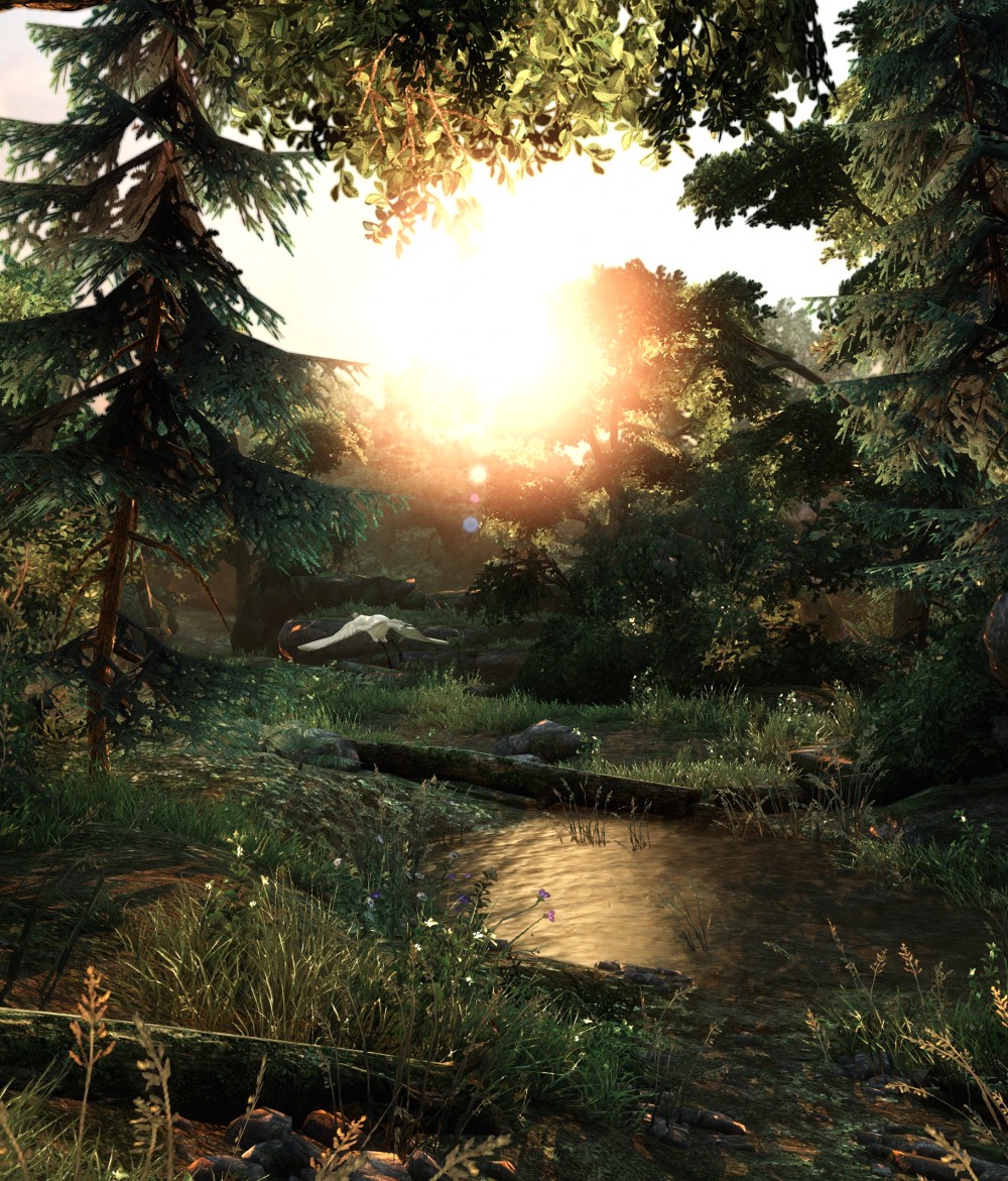 The Last of Us