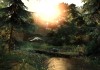 The Last of Us