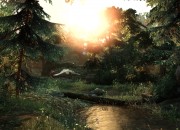 The Last of Us