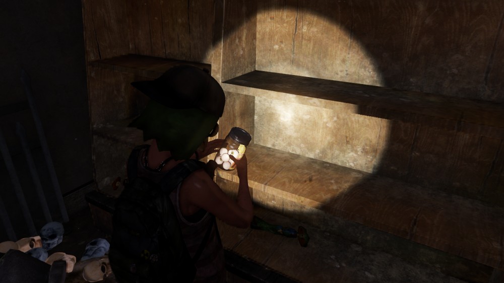 The Last of Us