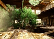 The Last of Us