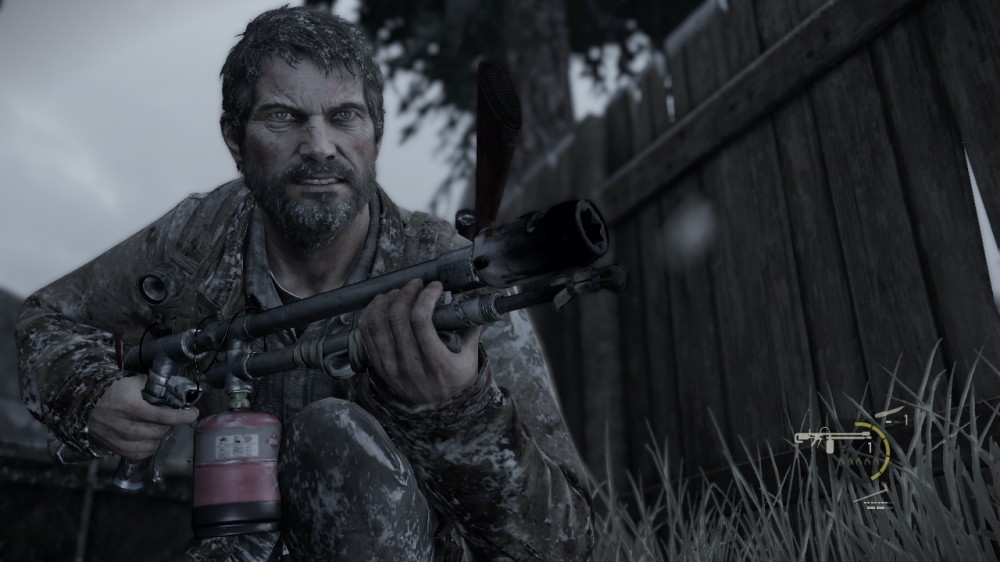 The Last of Us