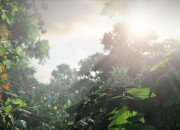 The Last of Us