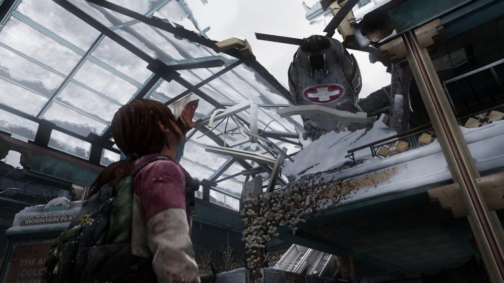 The Last of Us