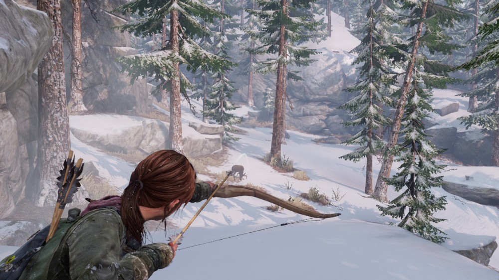 The Last of Us