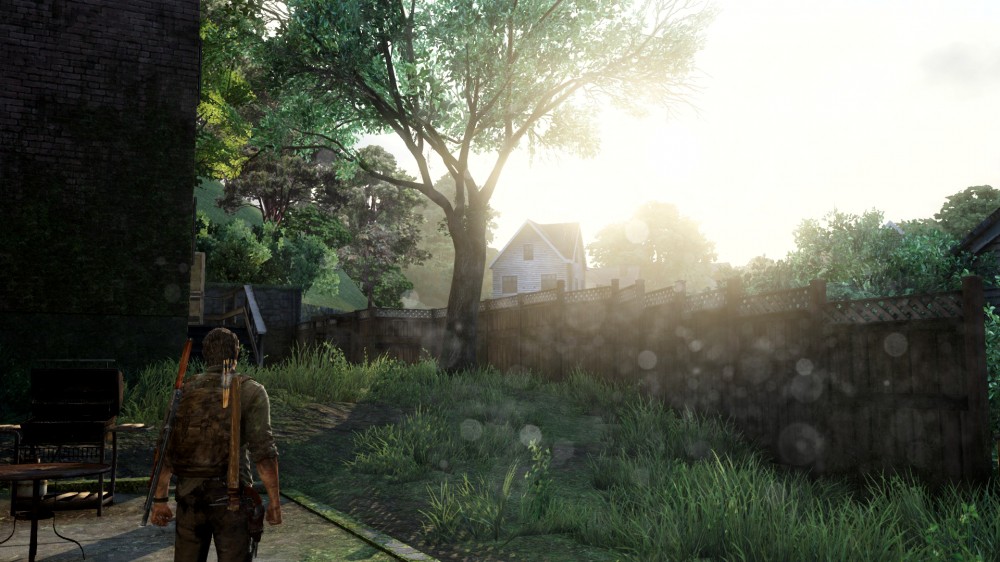 The Last of Us