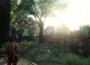 The Last of Us