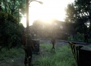 The Last of Us