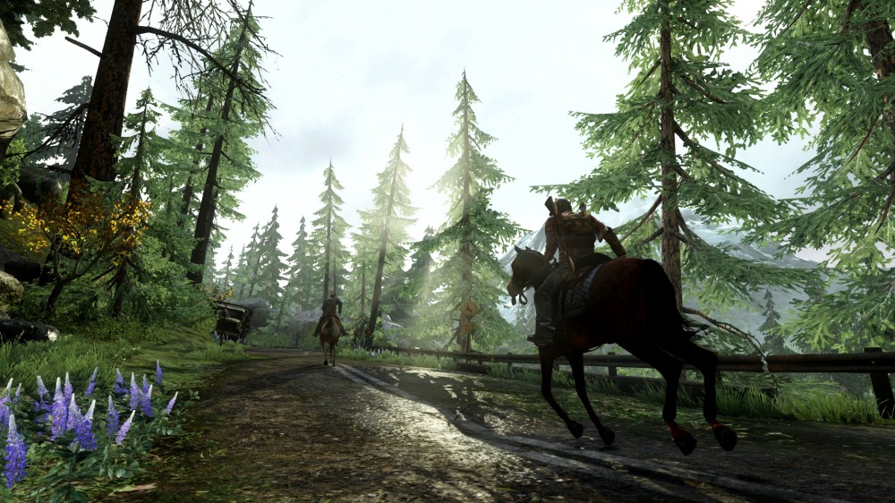 The Last of Us