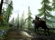 The Last of Us